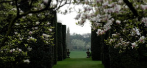 progettazionegiardini