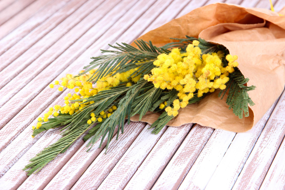 Bouquet di mimose